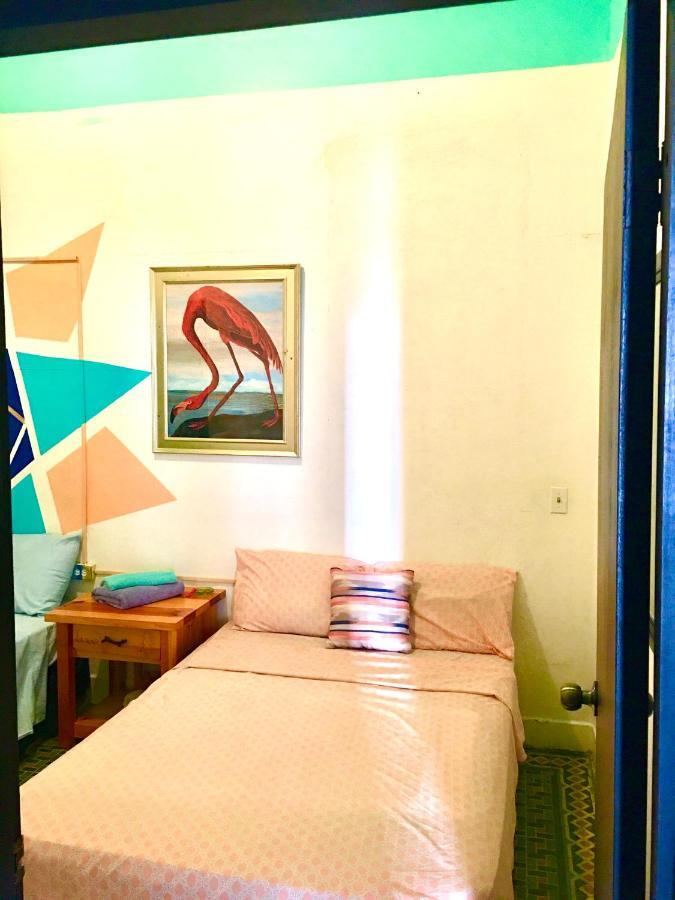 Medusa'S Hostel Aguadilla Luaran gambar